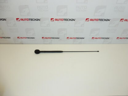 Antena completa Citroën C3 Pluriel 6561R7 656197