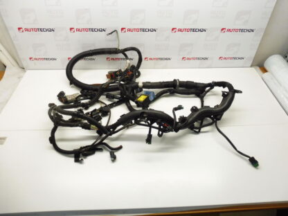 Harness Citroën Peugeot 2.0HDI RHR 1401076880 6569JA