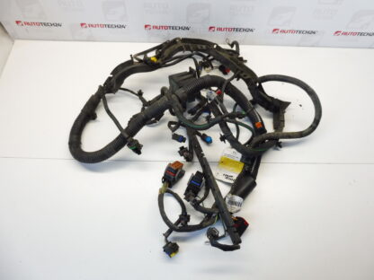 Harness Citroën Peugeot 2.2HDI 1498602080 656939