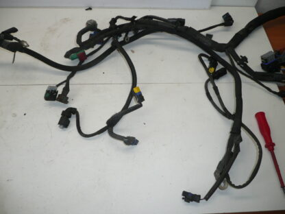 Chicote do motor Peugeot 207 1.4i KFT 9674808180 9675247080