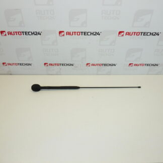 Antena completa Citroën C3 Pluriel 6561R7 656197