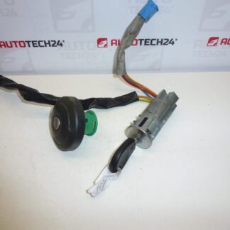 Caixa de interruptores uma chave Citroën Xsara Picasso 4162HK