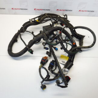 Harness Citroën Peugeot 2.2HDI 1498602080 656939