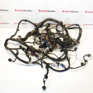 Harness Citroën Peugeot 3.0 HDI 9671824380 6585A7