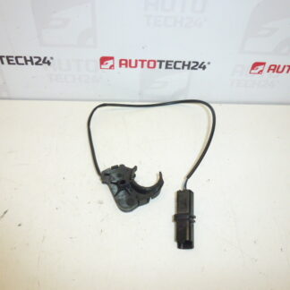 Sensor de maçaneta Peugeot 307 CC 9651269480 910946