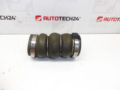 Mangueira 1.6 e-HDI Citroën Peugeot 9685598580 9686523980 9685598280 0382PJ